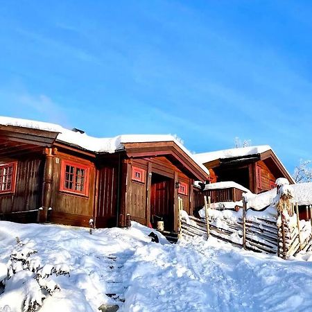 Koselig Familiehytte Pa Vakre Dagali - Naer Geilo Exterior foto