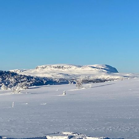 Koselig Familiehytte Pa Vakre Dagali - Naer Geilo Exterior foto