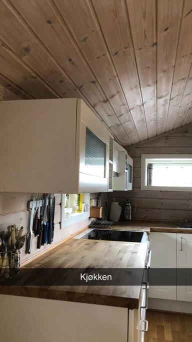 Koselig Familiehytte Pa Vakre Dagali - Naer Geilo Exterior foto