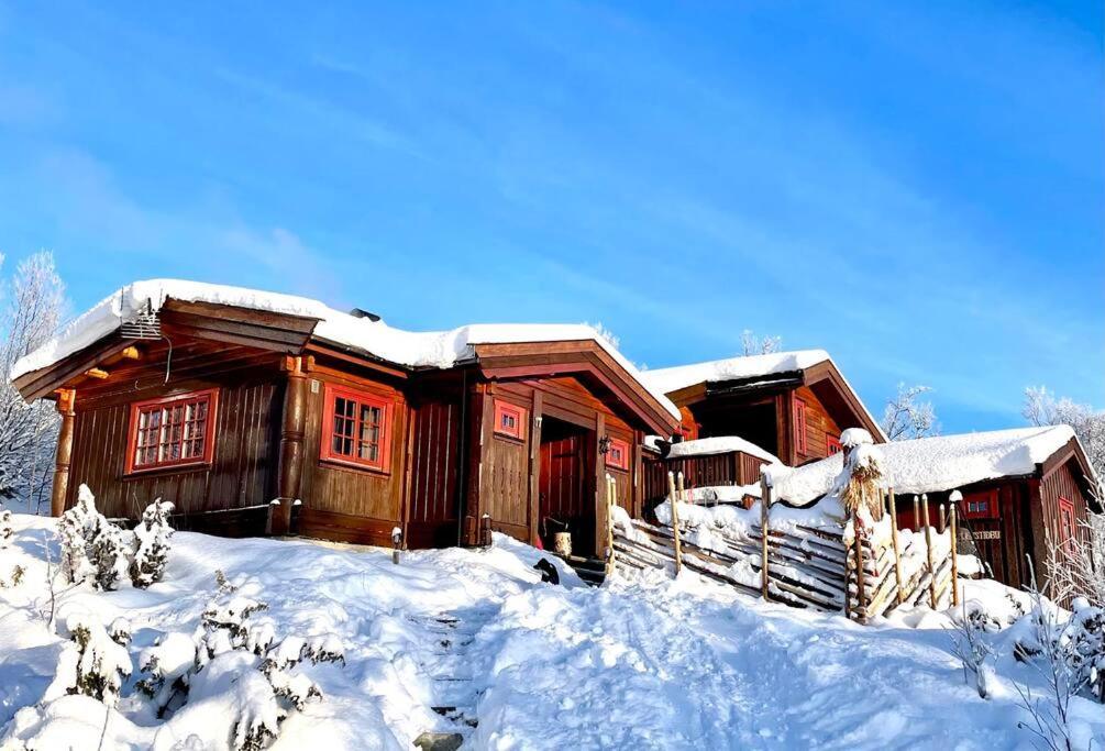 Koselig Familiehytte Pa Vakre Dagali - Naer Geilo Exterior foto