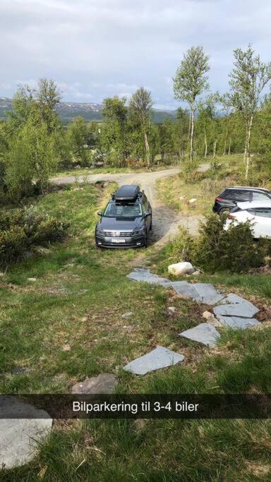 Koselig Familiehytte Pa Vakre Dagali - Naer Geilo Exterior foto