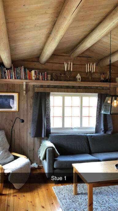 Koselig Familiehytte Pa Vakre Dagali - Naer Geilo Exterior foto