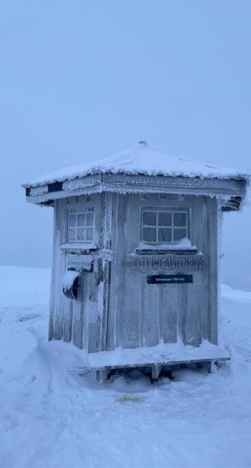 Koselig Familiehytte Pa Vakre Dagali - Naer Geilo Exterior foto