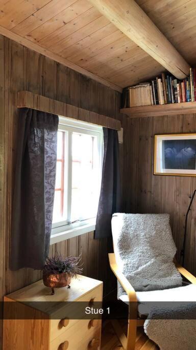 Koselig Familiehytte Pa Vakre Dagali - Naer Geilo Exterior foto