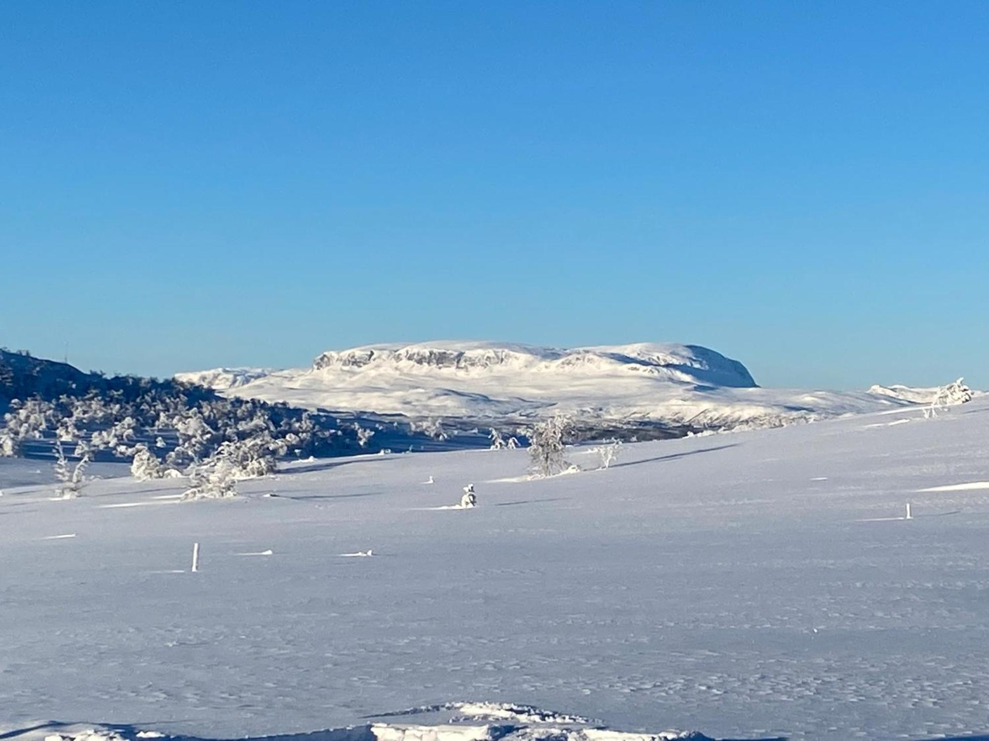 Koselig Familiehytte Pa Vakre Dagali - Naer Geilo Exterior foto